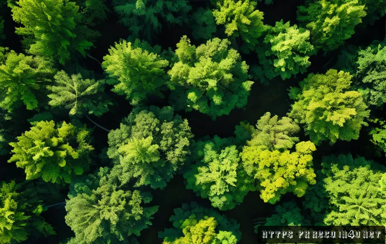 생태환경 전문가를 위한 현장 조사 도구 - A high-resolution aerial view of a dense forest captured by a drone hovering above, showing intricat...