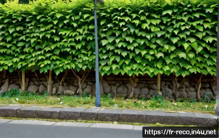 생태환경 관리와 복원 사례 연구 관련 이미지 2